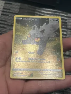 Pokemon TCG Poochyena GG33/GG70 Crown Zenith 2023: Galarian Gallery- NM - Image 4
