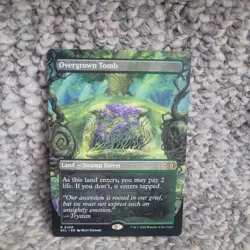 Overgrown Tomb (Non-foil) [Borderless] Lorwyn Eclipsed 0350 Rare MTG - Image 1