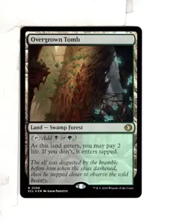 MTG SkeenAB Overgrown Tomb FOIL from ECL. NM. - Image 1