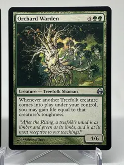 MTG Orchard Warden Morningtide NM 131/150 Magic: The Gathering - Image 5