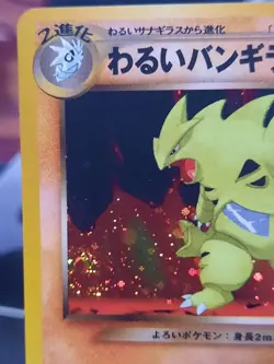 Dark Tyranitar No. 248 with Small Swirl Neo Destiny Holo 2001 Japanese Pokemon - Image 3