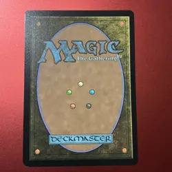 TCG MTG Raphael, the Nightwatcher [TMT - 103] - NM [Normal] - Image 2