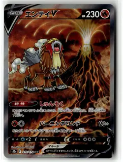 Entei V ⭐ 213/172 Holo Special Art Rare VSTAR Universe 2022 Pokemon Japanese NM - Image 1