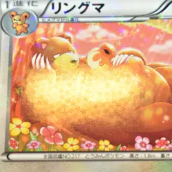 Pokemon Japanese 1ED Ursaring Shiny Collection C Holo 016/020 NM/Mint #3 - Image 3