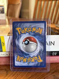 Pokemon Shauna Full Art Trainer Holo Card 111/124 English Pokemon TCG NM - Image 2