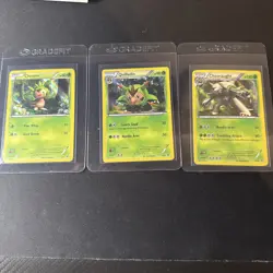 Pokemon TCG Kalos Starter Set all 3 deck plus holo promos - Image 2