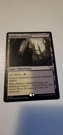 Shadowy Backstreet MKM #268 MTG Murders at Karlov Manor Rare Land WB NM - Image 1