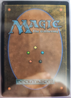 MTG - 2026 Lorwyn Eclipsed - Overgrown Tomb - Unplayed - Pack to Sleeve - Image 2