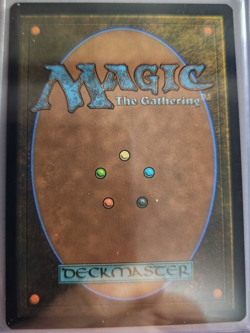 MTG - 2026 - Lorwyn Eclipsed - Blood Crypt - Unplayed - Pack to sleeve - Image 2