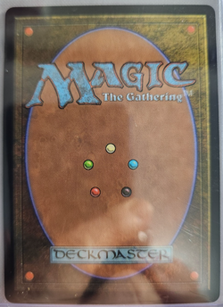 MTG - 2024 Modern Horizons 3 - Polluted Delta - Unplayed - Pack to sleeve - Image 2