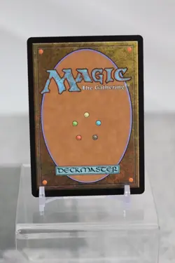 Sheltered by Ghosts Duskmourn: House of Horror Regular - Image 2