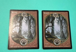 2x - Swamp - Unglued - MTG - Magic the Gathering - Image 1
