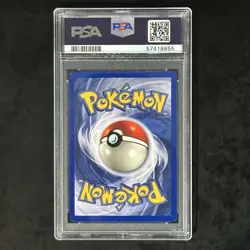 1999 Pokemon Wigglytuff Holo PSA 8 NM/Mint 1st Edition #16/64 Rare Jungle Card - Image 2