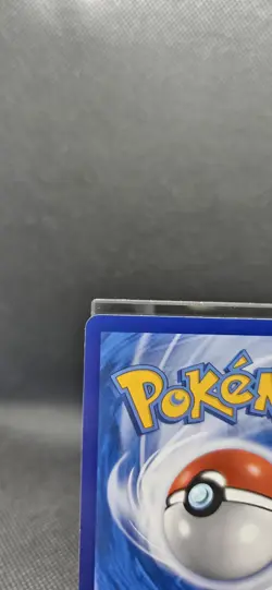 US Seller No Tariff Exclusive Pokemon Chinese Radiant Eevee and Venusaur K Holo - Image 4