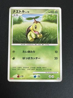 Turtwig 005/DP-P Meiji Promo Pokemon Card Game Japanese Nintendo - NM - Image 1