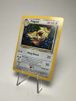 Pokemon Pidgeot Holo Rare #8/64 Jungle Unlimited - Image 2