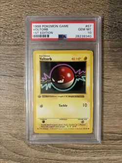 Pokemon Voltorb Base Set Shadowless 1st Edition #67 PSA 10 Gem Mint - Image 1