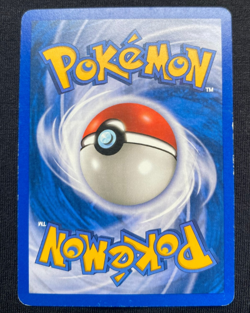 Pokemon Card Teddiursa 109/144 common 2003 Skyridge LP/MP - Image 2