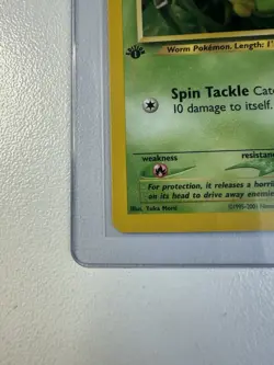 Caterpie 1st Edition 53/75 Neo Discovery WOTC Vintage Pokemon - Image 2