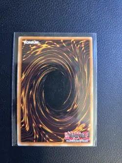 Dark Paladin DMG-001 Duel Master's Guide Limited Edition - Image 2