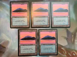 5x German Fbb Island • NM • Basic Land • Mtg - Image 2