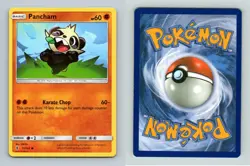 Pancham #72/145 Sun & Moon Guardians Rising Common Pokemon 2017 TCG Card - Image 1