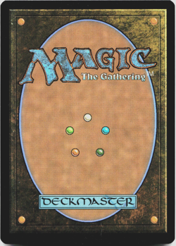 Splinter's Technique (Showcase) - [Teenage Mutant Ninja Turtles] MTG Magic NM 💀 - Image 2