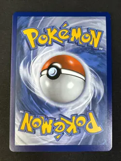 Lance's Charizard V SWSH133 Sword & Shield Black Star Promo Cards Holo Pokemon - Image 2