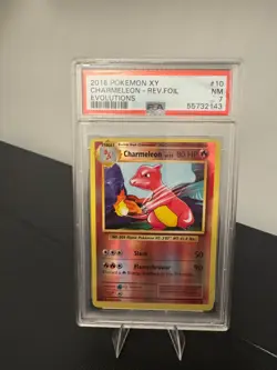Charmeleon Reverse Holo Pokemon Evolutions 10/108 PSA 7 - Image 1