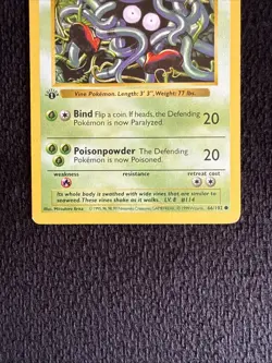Pokemon Tangela 66/102 1st Edition Shadowless Base Set Card - Image 2