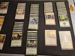 Magic The Gathering 2005 - Ravinica - Selesnya United Themed Deck - Used - Image 4