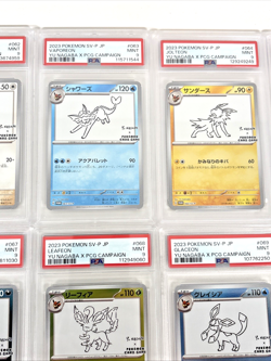 PSA 9 Yu Nagaba Eevee's & Pikachu Promo Complete Sequential 10 Card Pokemon Set - Image 3