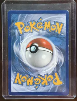 Pokemon Fan Club 106/106 Flashfire Holo Full Art - Image 2