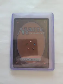 The Cabbage Merchant FOIL Rare TLE 134 (MTG Avatar 2025) - Image 2