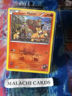 Pokemon x1 Team Magma's Numel - Double Crisis (Common 1/34) (Light Play!) - Image 1