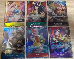 Chinese-One Piece Card Parallel Championship 25-26 Regionals Season #XPAN - Image 1