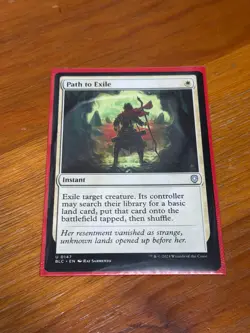 Path To Exile - N/M - Bloomburrow BLC Magic The Gathering MTG - 147 - Image 1