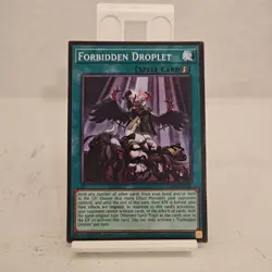 Yu-Gi-Oh! Forbidden Droplet L5DD-ENY29 Common Legendary Duelists - Image 1