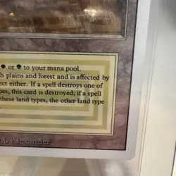 Savannah Revised Rare MTG Magic the Gathering MP - Image 5