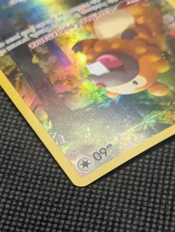 Bidoof GG29/GG70 Crown Zenith: Galarian Gallery Holo Ultra Rare Pokemon TCG - Image 4