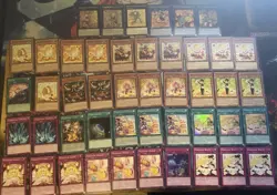 Yugioh Madolche Deck W/ Extra Deck + Bonus - Image 1