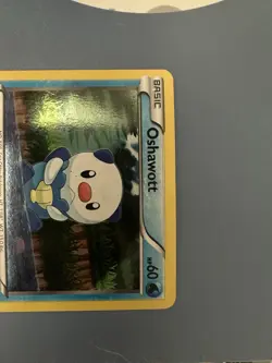 Pokemon TCG Oshawott Black & White 27/114 holo Common - Image 3
