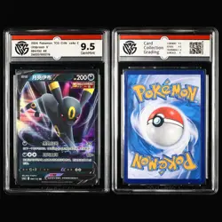 CCG 9/9.5 2024 Pokemon CHN Mixed Characters 8PCS (16-35) - Image 5
