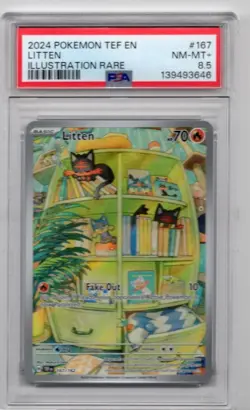 2024 Pokemon Temporal Forces Litten Illustration Rare #167 PSA 8.5 NM-MT - Image 3