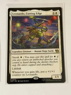 Leonardo, Cutting Edge Teenage Mutant Ninja Turtles 15 - Image 1