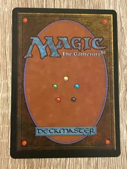 MTG - Sunastian Falconer - Legends - NM English Magic 1994 - Image 2