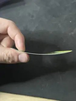 Pokemon EX Emerald Treecko Reverse Holo Card 70/106 - Image 5