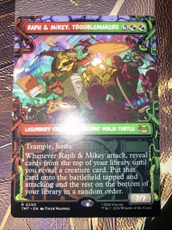 Raph & Mikey, Troublemakers (Showcase) Teenage Mutant Ninja Turtles Regular - Image 1