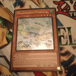 Yugioh! LP Mulcharmy Purulia - INFO-EN027 - Secret Rare - 1st Edition Lightly Pl - Image 2