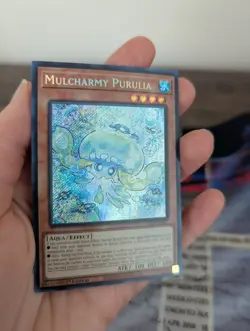 Mulcharmy Purulia-INFO-EN027-Secret Rare-1st Edition- Yugioh! - Image 2